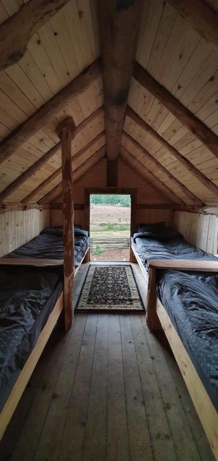 Vittfarnas Hird Vikingaby Bed & Breakfast Sosdala Luaran gambar