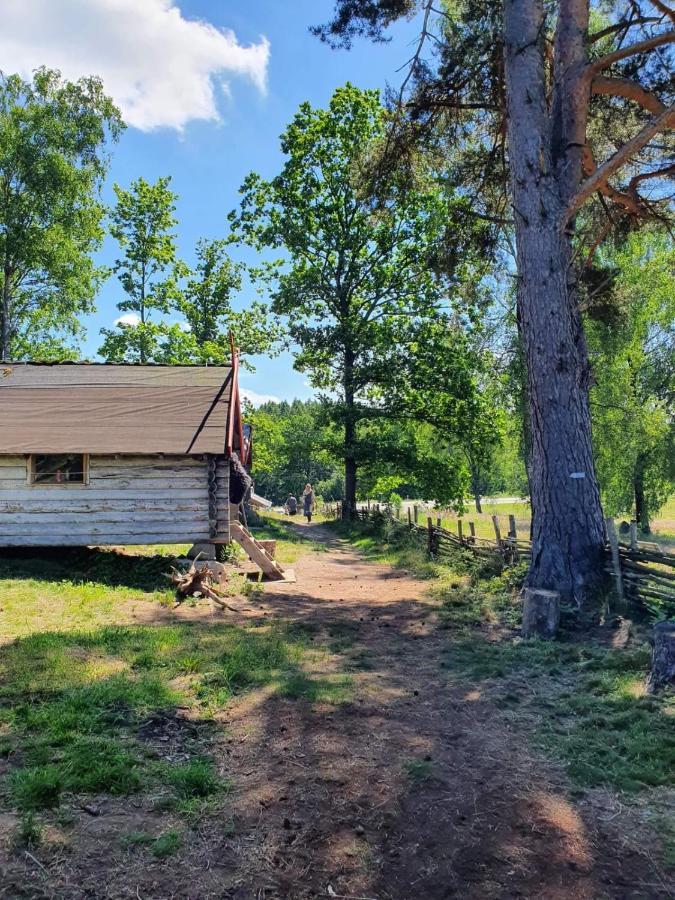 Vittfarnas Hird Vikingaby Bed & Breakfast Sosdala Luaran gambar