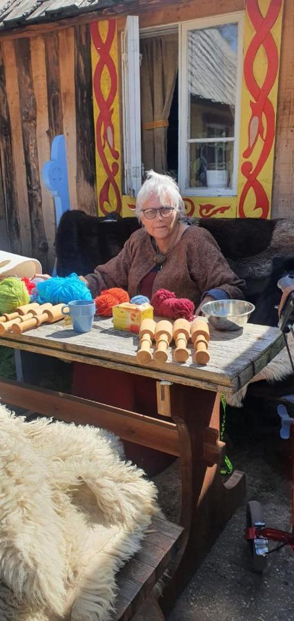 Vittfarnas Hird Vikingaby Bed & Breakfast Sosdala Luaran gambar
